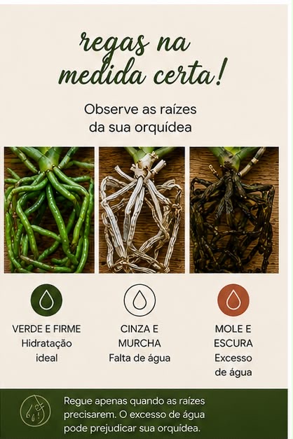 Pessoa participando de atividade manual com materiais naturais.